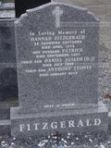 DSC07734 Fitzgerald.jpg